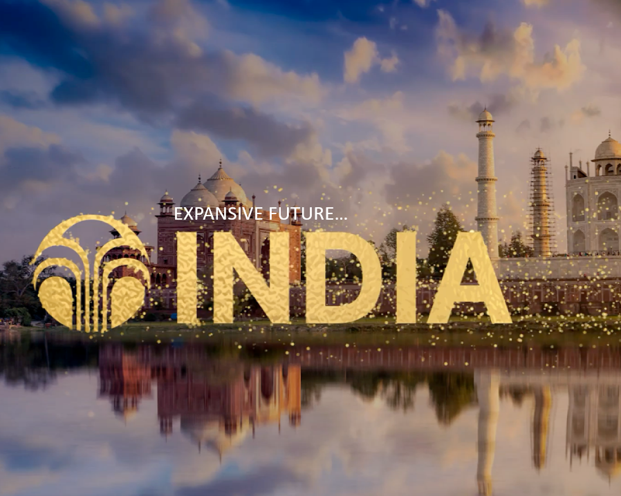 India 2025_rectangle India 2025_rectangle